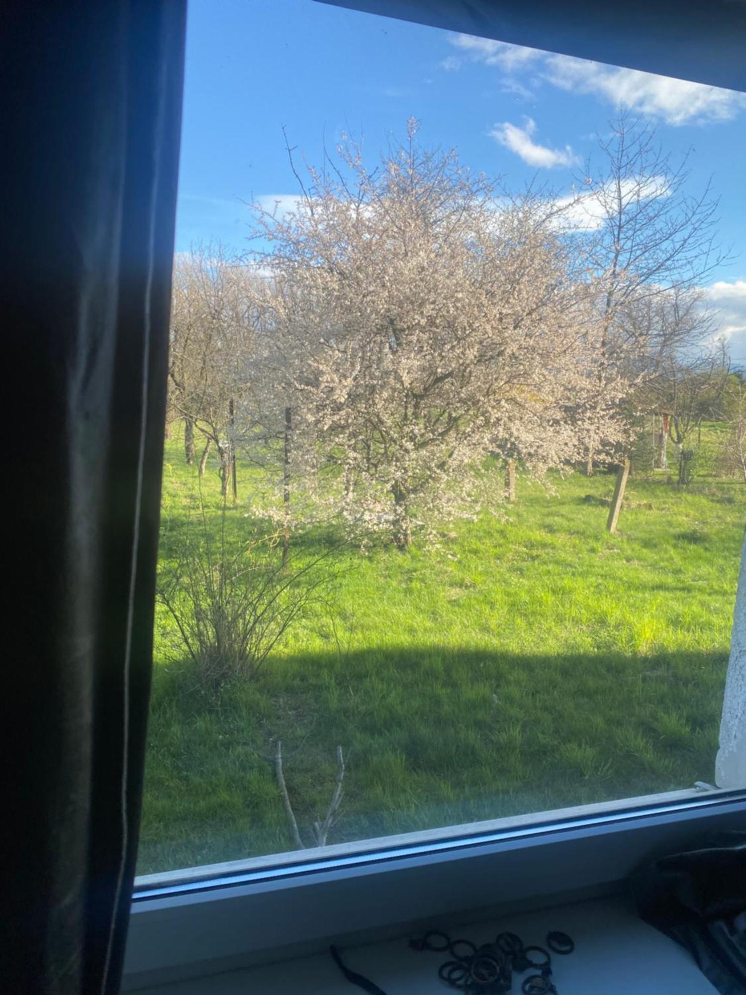 Apartamenty Ciukaj Paczkow Esterno foto